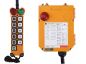 F24-10D Crane Radio Control Systems