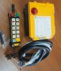 F24-10D Crane Radio Control Systems
